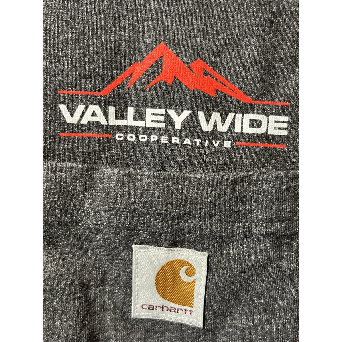 Carhartt Tee Shirt Men Xl Gray Cotton Loose Fit Valley Wide Cooperative Logo NWT