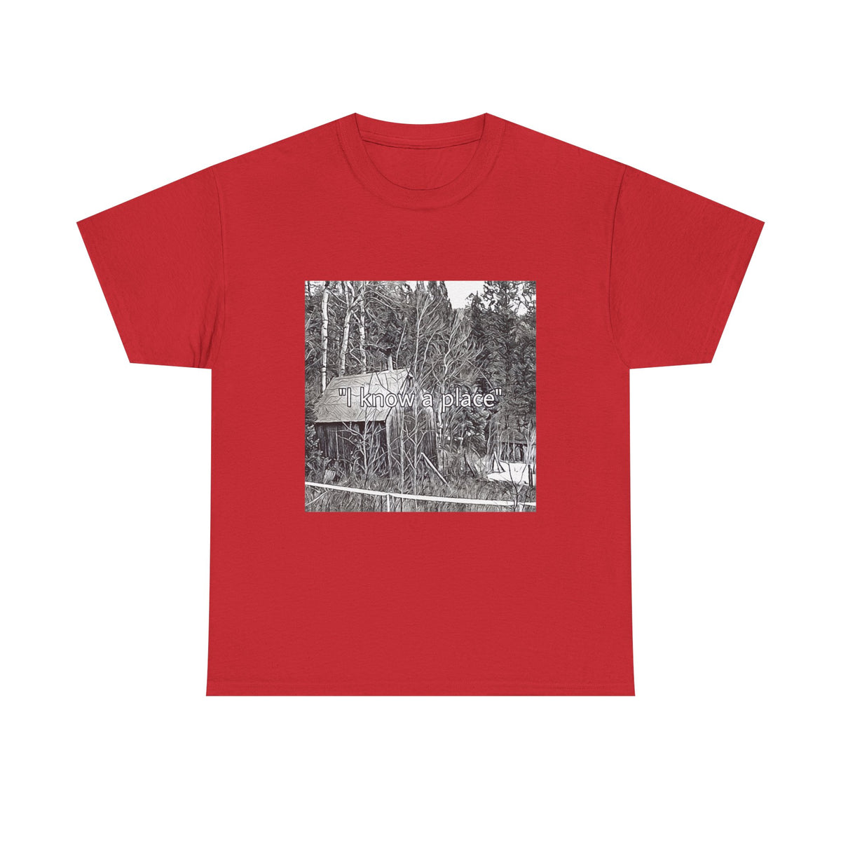 I Know A Place Graphic Print SS Crew Unisex Heavy Cotton Freedom Club Tee Shirt