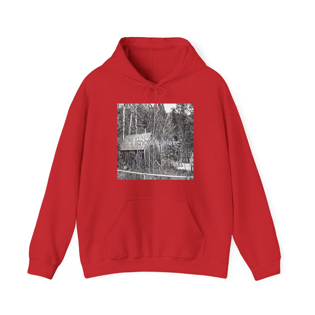 I Know A Place Graphic Print Unisex Heavy Blend™ Freedom Club Hooded Sweatshirt