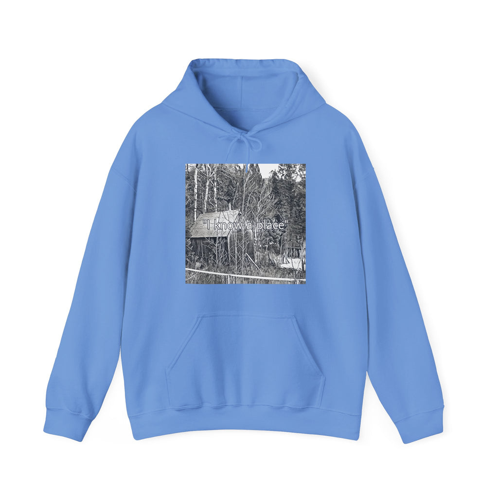 I Know A Place Graphic Print Unisex Heavy Blend™ Freedom Club Hooded Sweatshirt