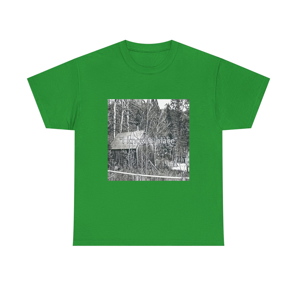 I Know A Place Graphic Print SS Crew Unisex Heavy Cotton Freedom Club Tee Shirt