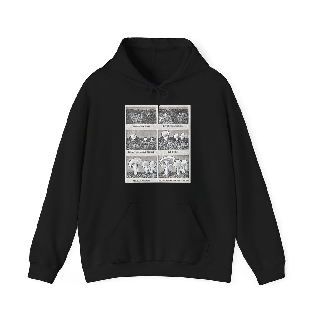 Mushroom Growth Cycle Graphic Print LS Unisex Heavy Blend™ Hooded Art Sweatshirt