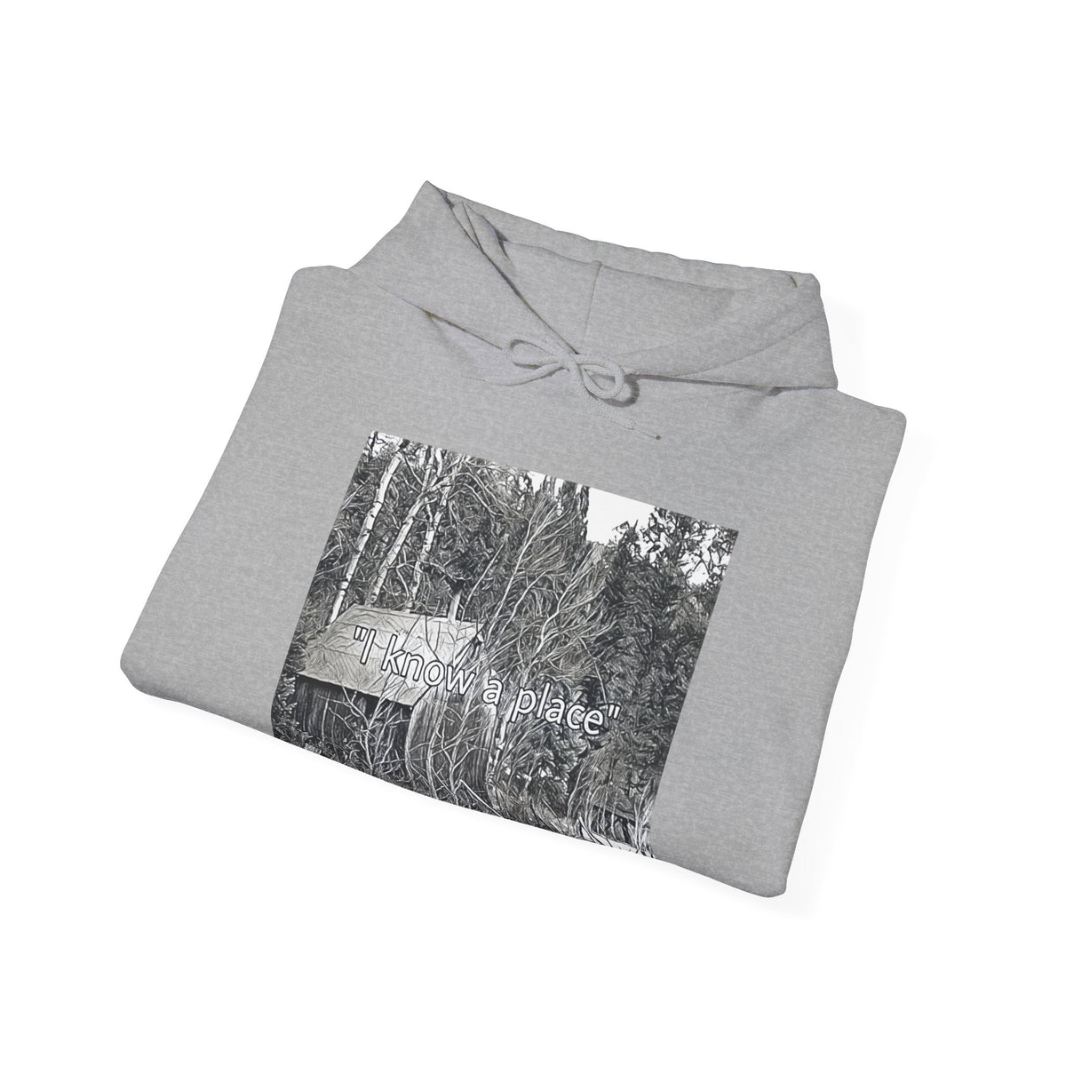 I Know A Place Graphic Print Unisex Heavy Blend™ Freedom Club Hooded Sweatshirt