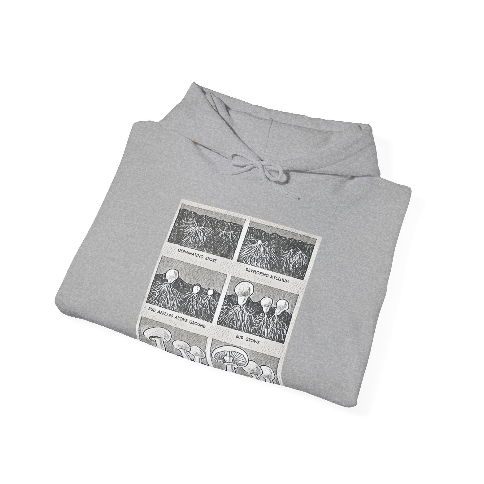 Mushroom Growth Cycle Graphic Print LS Unisex Heavy Blend™ Hooded Art Sweatshirt