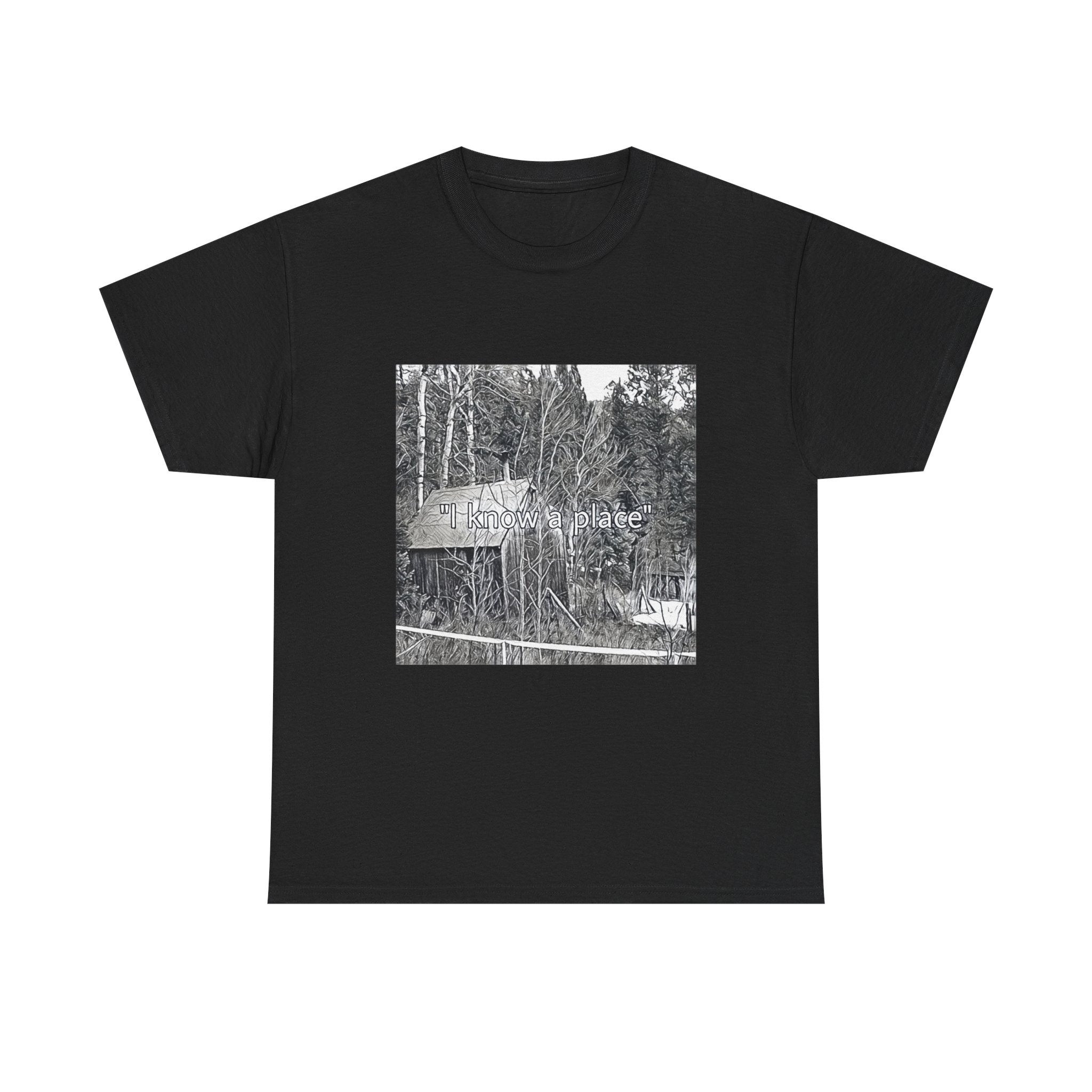 I Know A Place Graphic Print SS Crew Unisex Heavy Cotton Freedom Club Tee Shirt