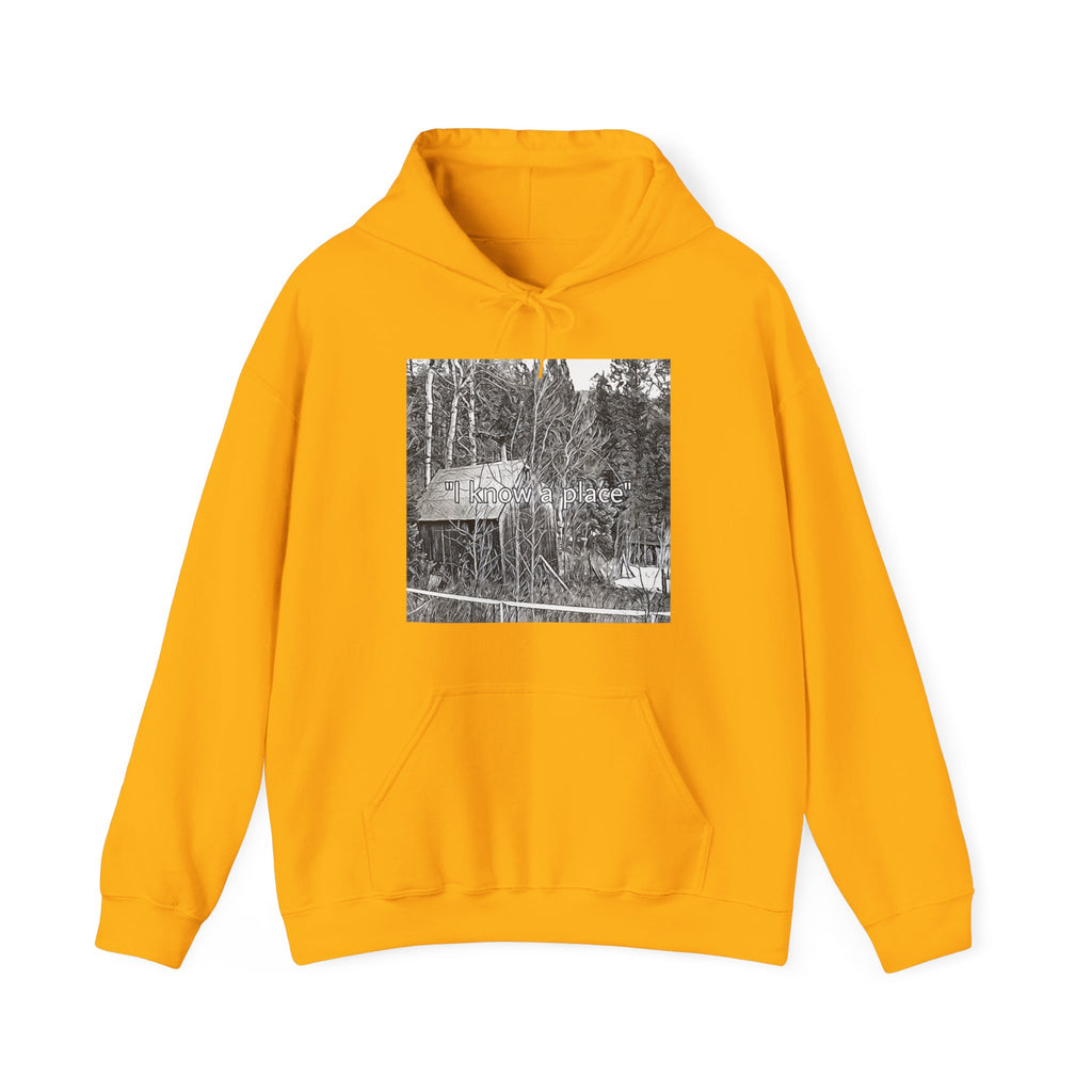 I Know A Place Graphic Print Unisex Heavy Blend™ Freedom Club Hooded Sweatshirt