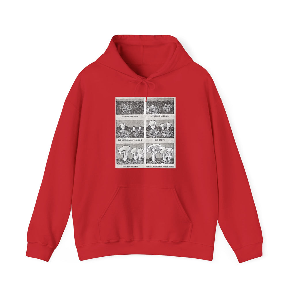 Mushroom Growth Cycle Graphic Print LS Unisex Heavy Blend™ Hooded Art Sweatshirt
