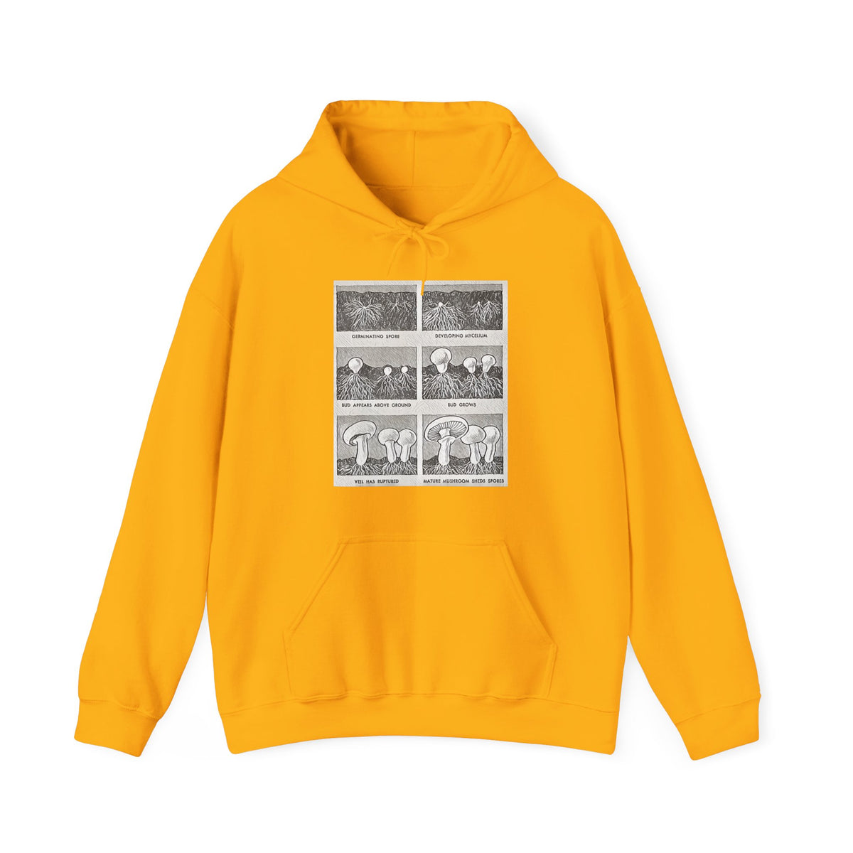 Mushroom Growth Cycle Graphic Print LS Unisex Heavy Blend™ Hooded Art Sweatshirt